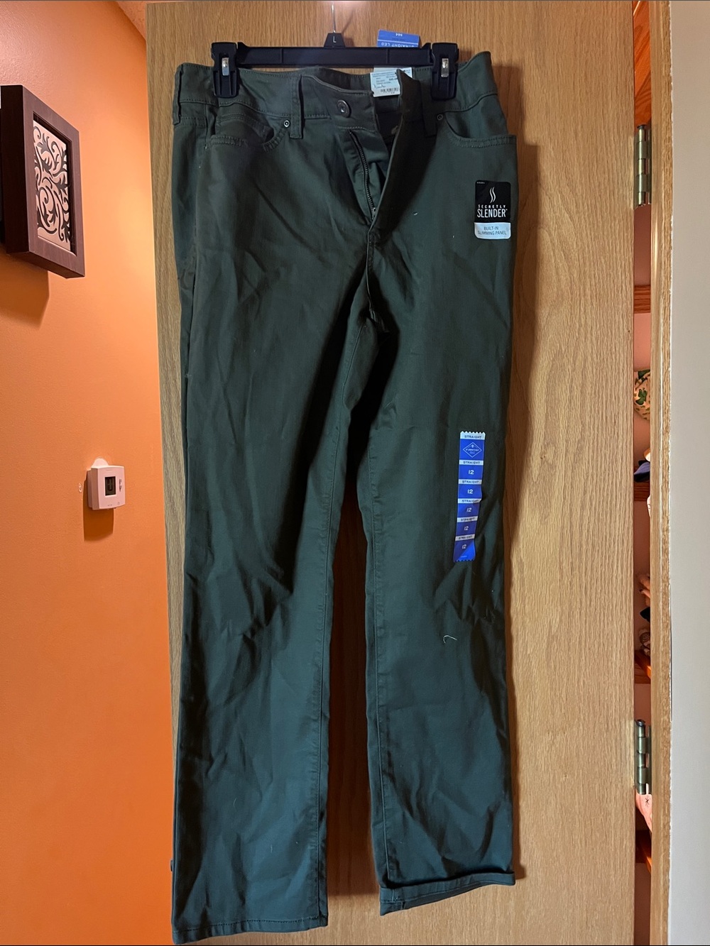 St. John's Bay Straight Leg Pants in Deep Green